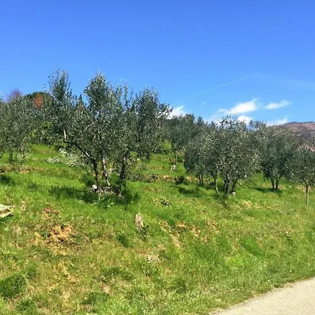 Rustic Mansion In * Pian di Scò